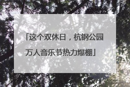 这个双休日，杭钢公园万人音乐节热力爆棚