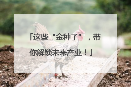 这些“金种子”，带你解锁未来产业！