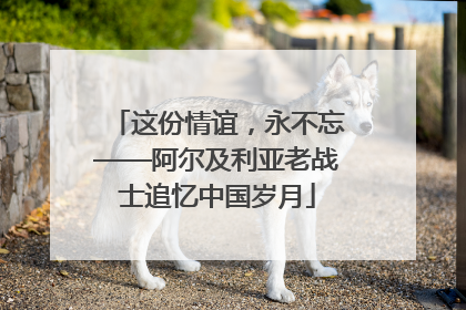 这份情谊，永不忘——阿尔及利亚老战士追忆中国岁月