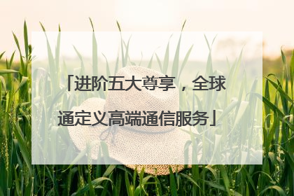 进阶五大尊享，全球通定义高端通信服务