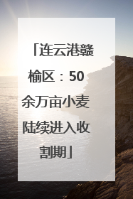 连云港赣榆区：50余万亩小麦陆续进入收割期