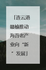 连云港赣榆推动海苔老产业向“新”发展
