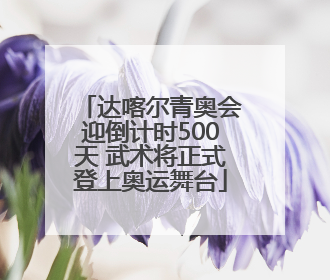 达喀尔青奥会迎倒计时500天 武术将正式登上奥运舞台
