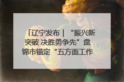 辽宁发布｜“振兴新突破 决胜勇争先”盘锦市锚定“五方面工作”力争全年地区生产总值增长5.5%左右