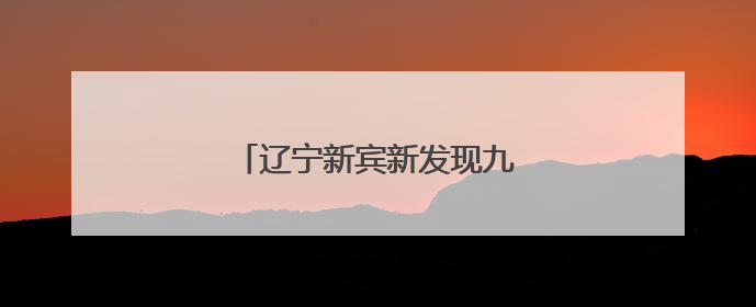 辽宁新宾新发现九处旧石器时代遗址