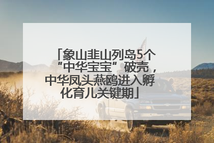 象山韭山列岛5个“中华宝宝”破壳，中华凤头燕鸥进入孵化育儿关键期