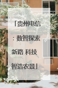 贵州电信：数智探索新路 科技智造农景