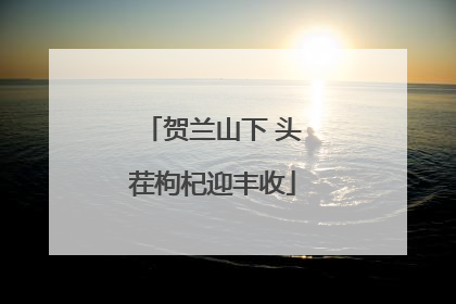 贺兰山下 头茬枸杞迎丰收