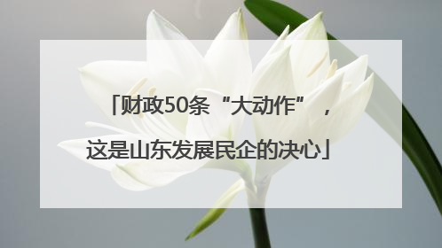 财政50条“大动作”，这是山东发展民企的决心