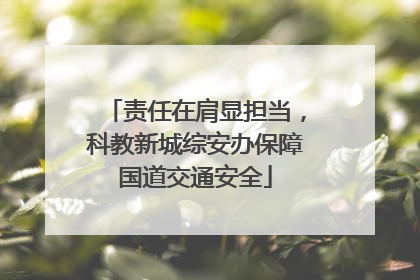 责任在肩显担当，科教新城综安办保障国道交通安全