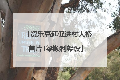 资乐高速促进村大桥首片T梁顺利架设