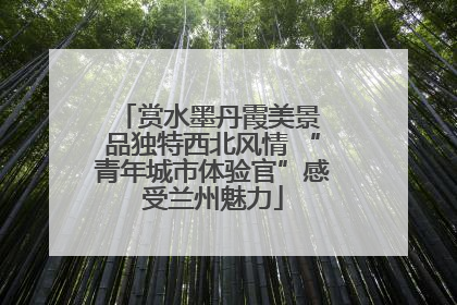 赏水墨丹霞美景 品独特西北风情 “青年城市体验官”感受兰州魅力