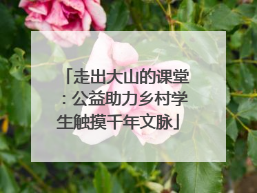走出大山的课堂：公益助力乡村学生触摸千年文脉