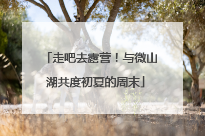 走吧去露营！与微山湖共度初夏的周末