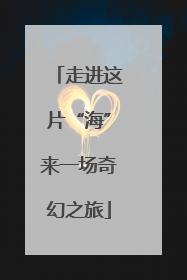 走进这片“海”来一场奇幻之旅