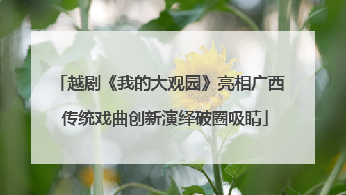 越剧《我的大观园》亮相广西 传统戏曲创新演绎破圈吸睛