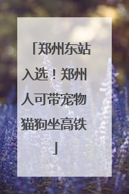 郑州东站入选！郑州人可带宠物猫狗坐高铁