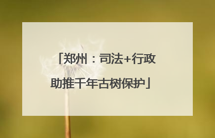 郑州：司法+行政助推千年古树保护