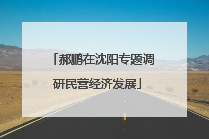 郝鹏在沈阳专题调研民营经济发展