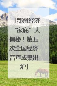 鄂州经济“家底”大揭秘！第五次全国经济普查成果出炉