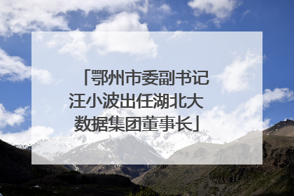 鄂州市委副书记汪小波出任湖北大数据集团董事长