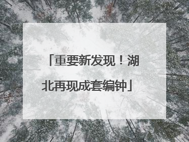 重要新发现！湖北再现成套编钟