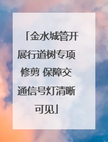 金水城管开展行道树专项修剪 保障交通信号灯清晰可见