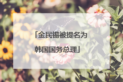 金民锡被提名为韩国国务总理