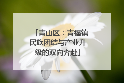 青山区：青福镇民族团结与产业升级的双向奔赴