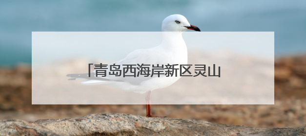 青岛西海岸新区灵山卫街道：架起民族连心桥，共绘社区同心圆