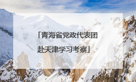 青海省党政代表团赴天津学习考察