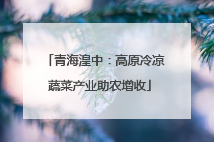 青海湟中：高原冷凉蔬菜产业助农增收