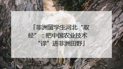 非洲留学生河北“取经”：把中国农业技术“译”进非洲田野