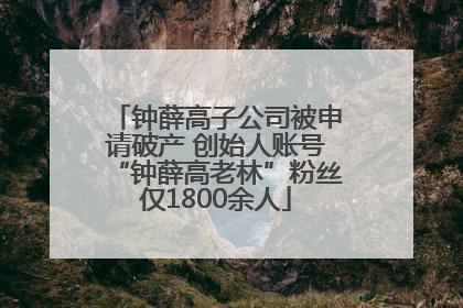 钟薛高子公司被申请破产 创始人账号“钟薛高老林”粉丝仅1800余人
