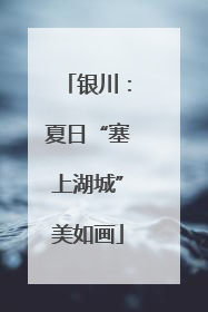 银川：夏日“塞上湖城”美如画