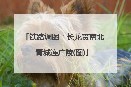 铁路调图：长龙贯南北 青城连广陵(图)