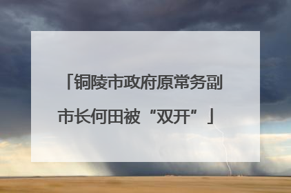 铜陵市政府原常务副市长何田被“双开”