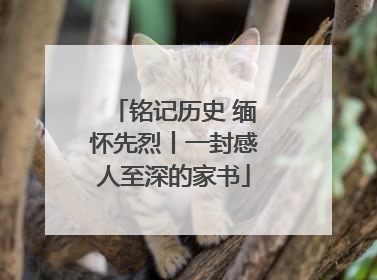 铭记历史 缅怀先烈丨一封感人至深的家书