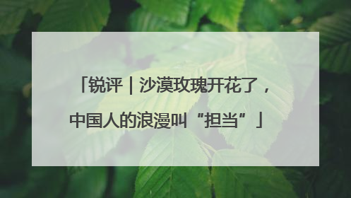 锐评｜沙漠玫瑰开花了，中国人的浪漫叫“担当”