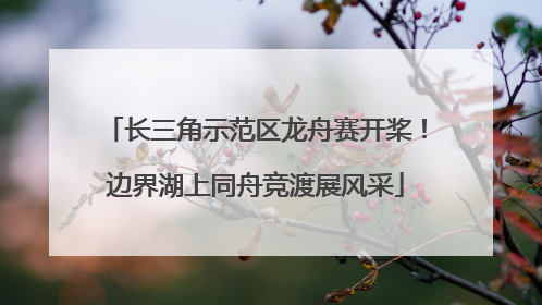 长三角示范区龙舟赛开桨！边界湖上同舟竞渡展风采