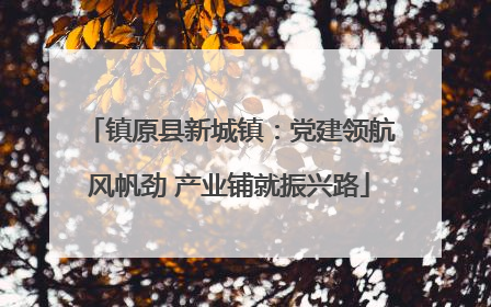 镇原县新城镇：党建领航风帆劲 产业铺就振兴路