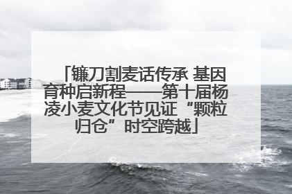 镰刀割麦话传承 基因育种启新程——第十届杨凌小麦文化节见证“颗粒归仓”时空跨越