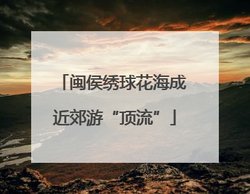 闽侯绣球花海成近郊游“顶流”