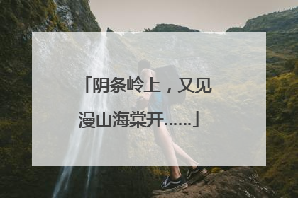 阴条岭上，又见漫山海棠开……
