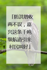 防洪增收两不误，嘉兴这条千吨级航道引来村民叫好