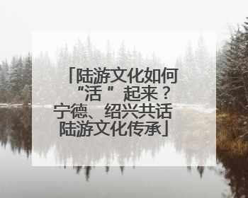 陆游文化如何“活 ”起来？宁德、绍兴共话陆游文化传承