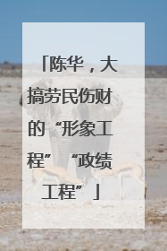 陈华，大搞劳民伤财的“形象工程”“政绩工程”