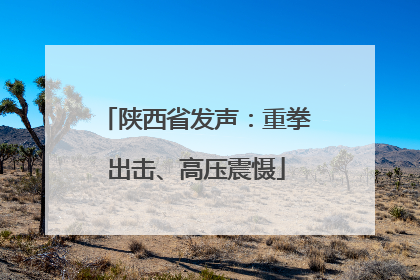 陕西省发声：重拳出击、高压震慑