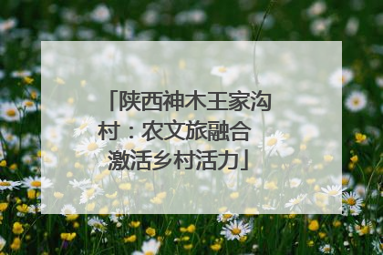 陕西神木王家沟村：农文旅融合 激活乡村活力