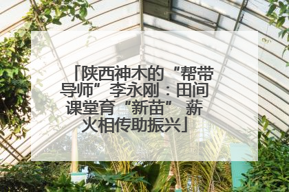 陕西神木的“帮带导师”李永刚：田间课堂育“新苗” 薪火相传助振兴